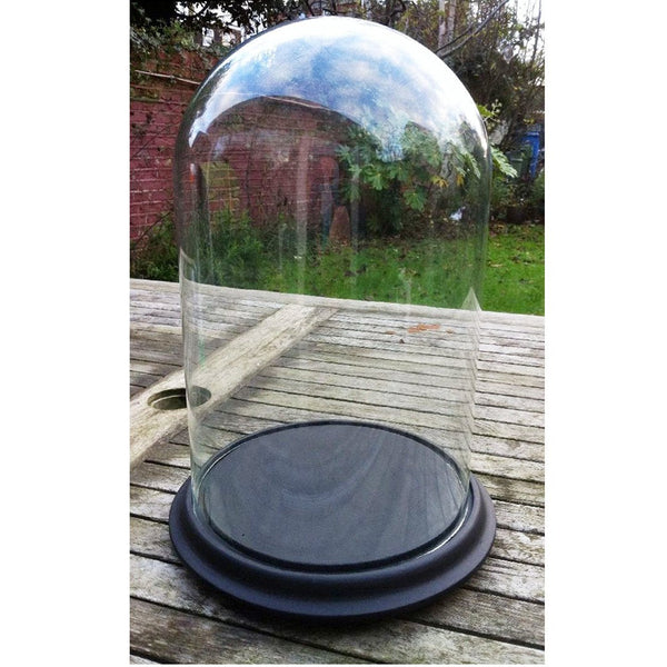 Clear Glass Large Dome Display with Ceramic Base – www.PartyMill.com