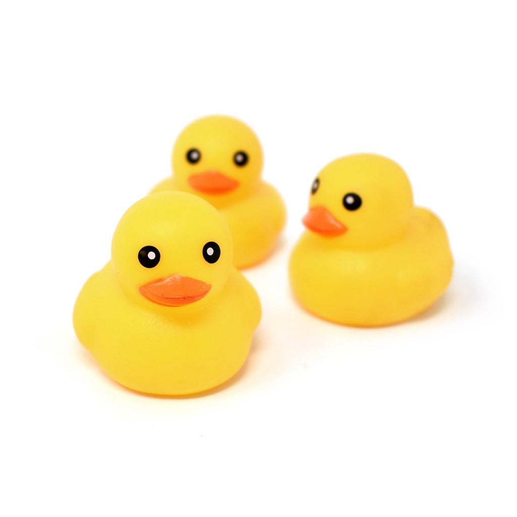 2 rubber ducks