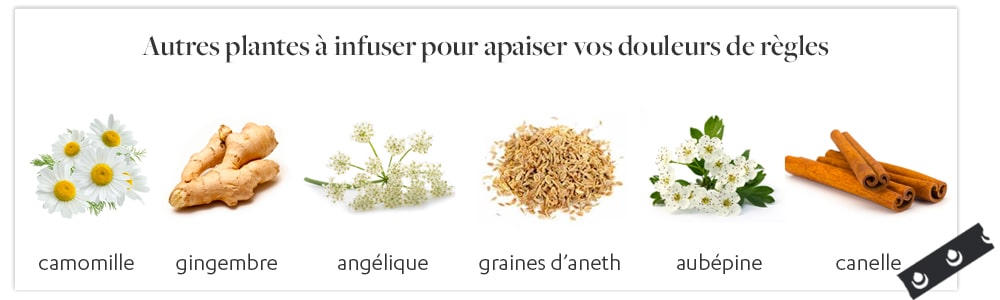 plantes à infuser contre les douleurs de règles infusion naturelle