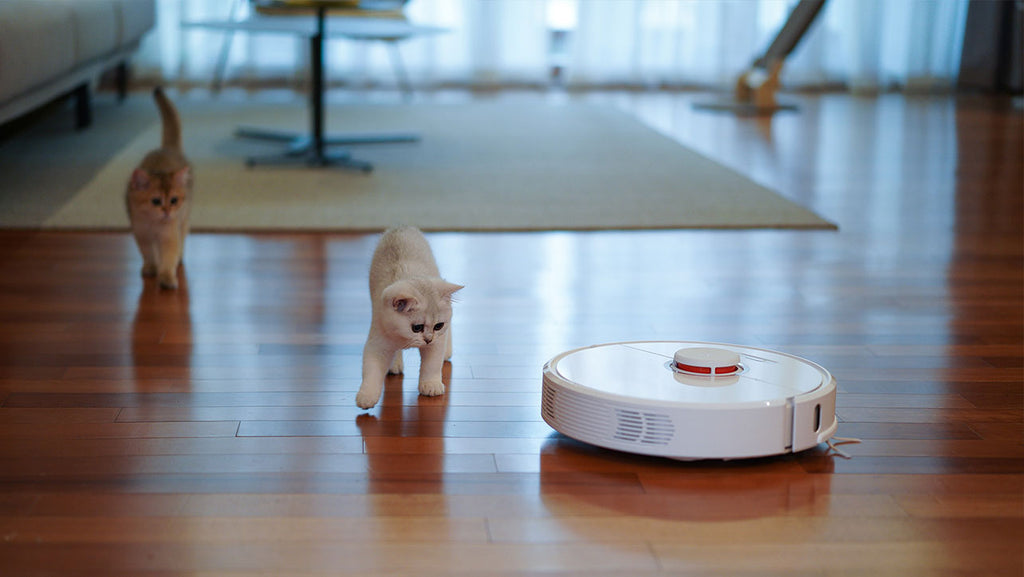 6 Things you need to know before buying a robot vacuum cleaner?