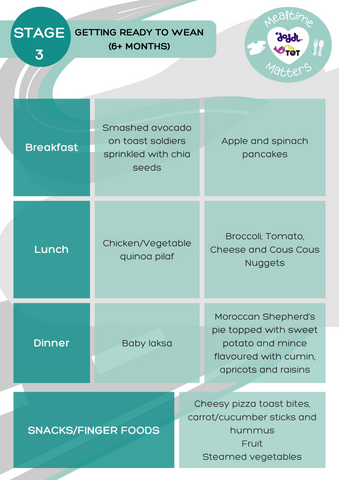 Mealtime Matters Meal plan 6+ month plus