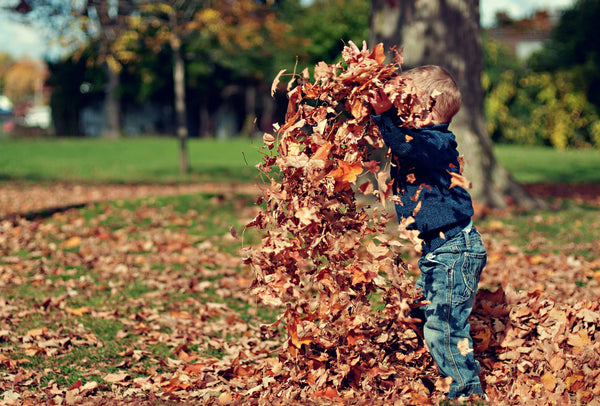 Boy is throwing leaves in the yard