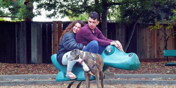 A couple joyfully rides a green dinosaur with their loyal dog by their side.