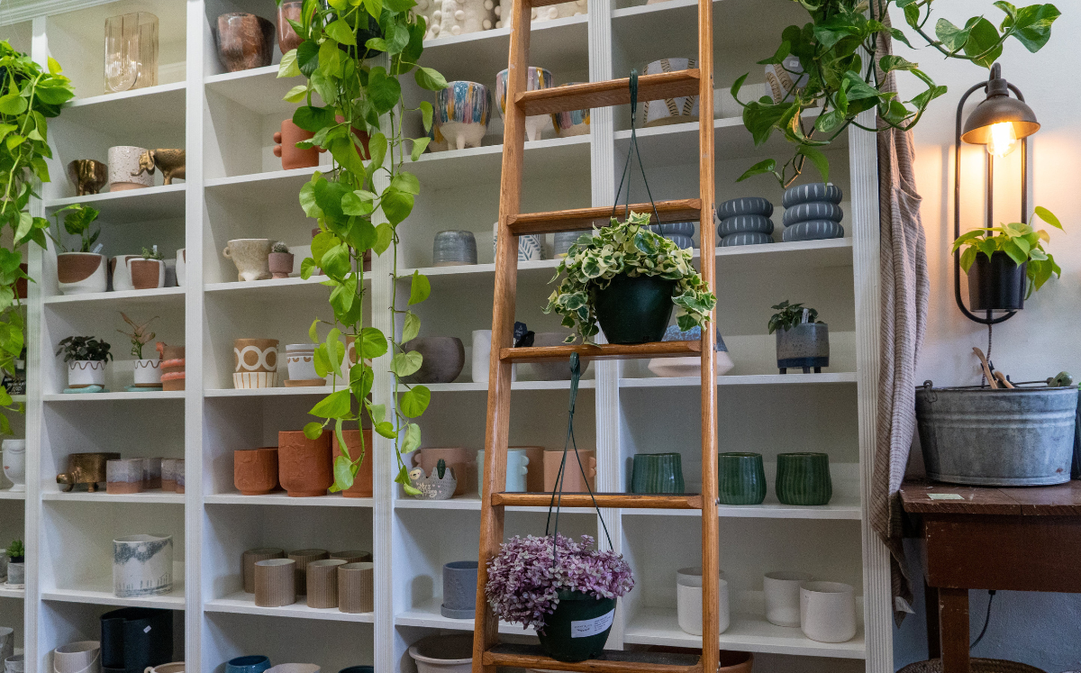 Tienda de plantas de interior