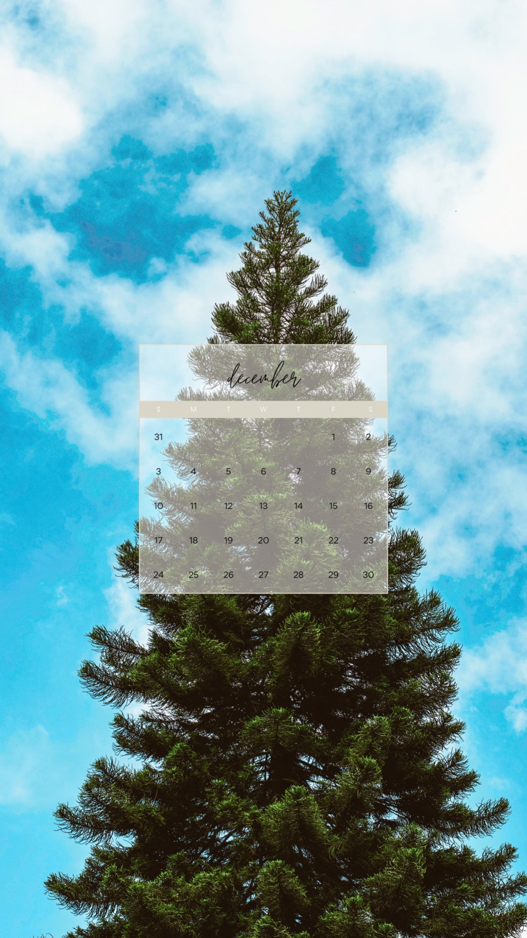 december iphone wallpaper background calendar