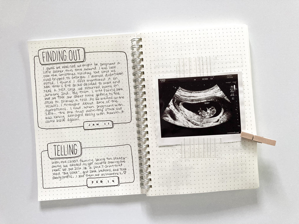 pregnancy journal spread