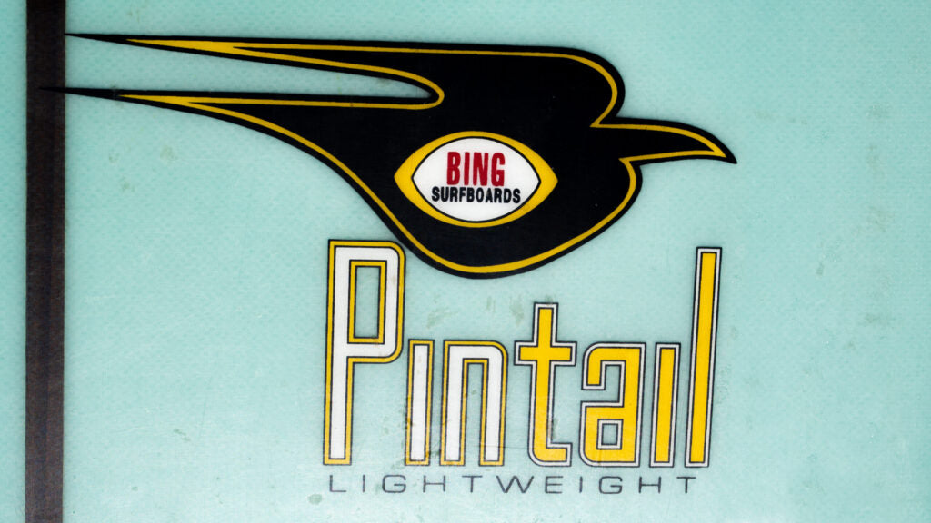 Bing Pintail Lightweight logo