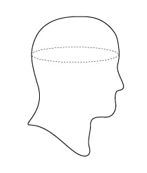 Manera Head Diagram