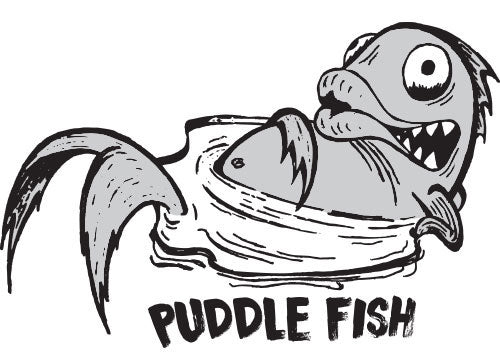 Lib Tech Puddle Fish Overview
