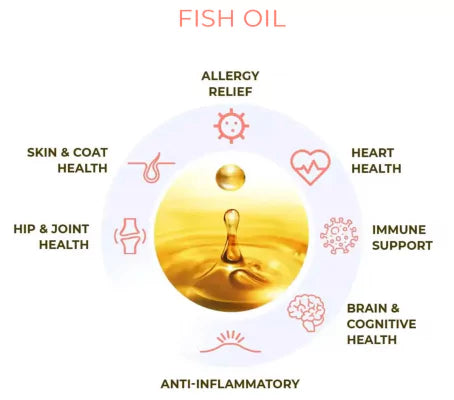 benefits of Omega-3 fish oil