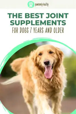 best joint supplement for older dogs pin