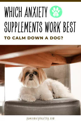 safe anxiety supplements for dogs pin