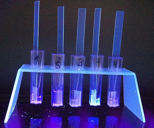fluorescence detecting e coli
