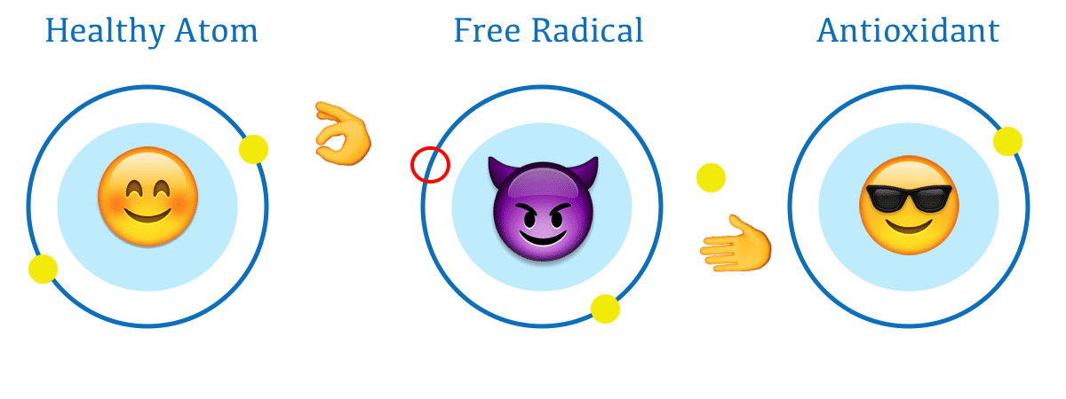 free radicals antioxidant