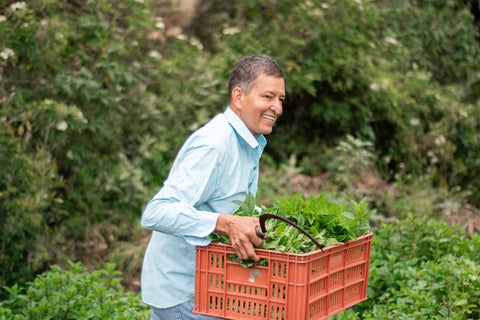 happy farmer