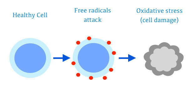 oxidative stress