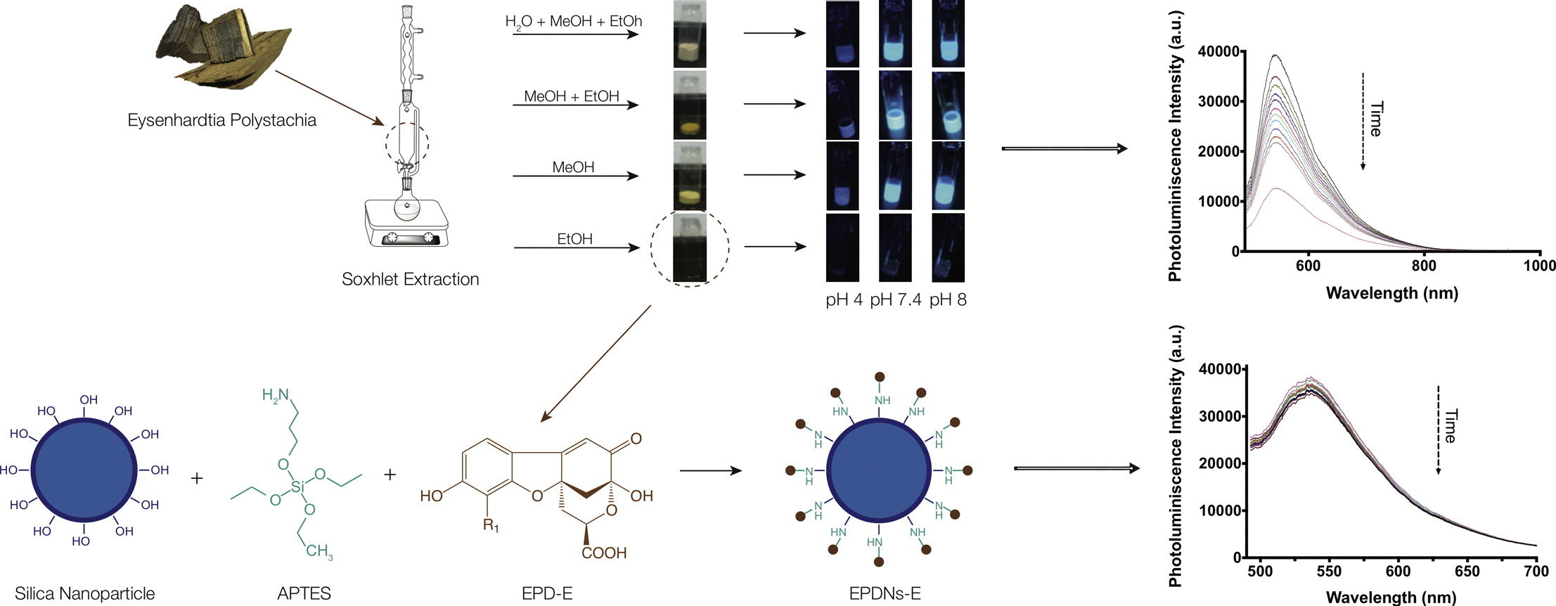 palo azul biomarker study