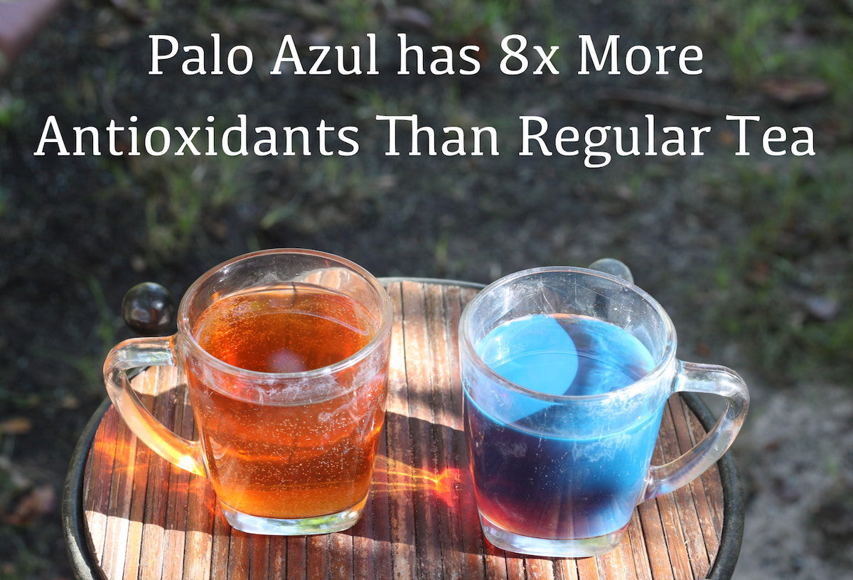 palo azul has 8x more antioxidant capacity than regular tea