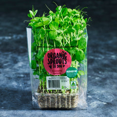 Pea Shoot Microgreens