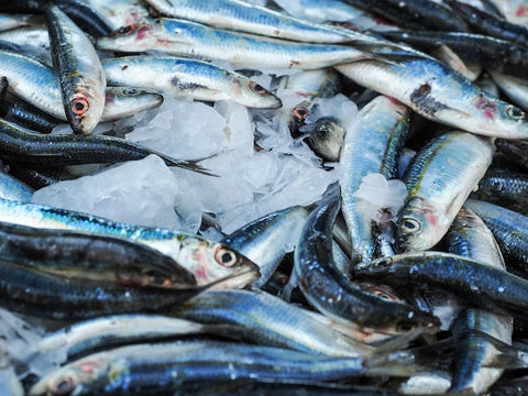 Photo by energepic.com: https://www.pexels.com/photo/fresh-fishes-3650159/