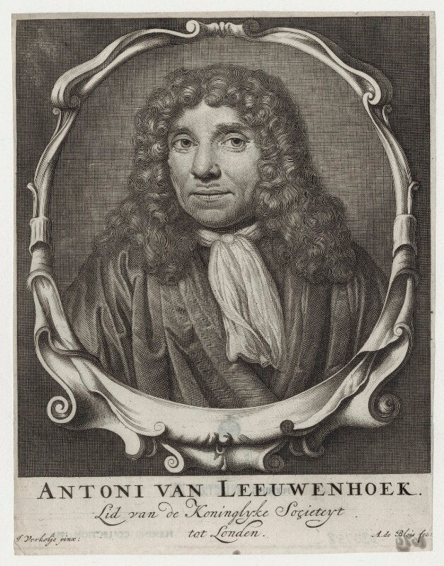 Antonie Van Leeuwenhoek Portrait Print National Portrait Gallery Shop