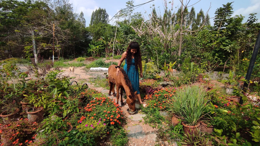 A person petting a horse in the garden