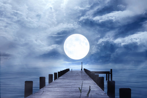 "Once in a Blue Moon" Acknowledging the pain and magic of the self healing journey Reconnecting with the Authentic Self Poetry Positive and powerful original poems for self love, healing journeys, shadow work, inner child healing, and divine feminine energy 