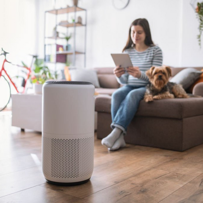 Can air purifiers help with pet allergies?