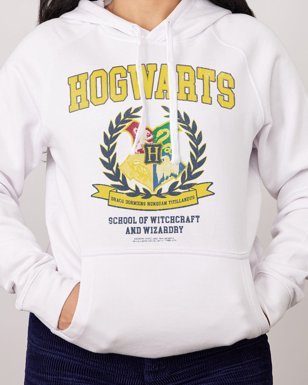 Hogwarts Crest Kids Hoodie | Official Harry Potter Merch Europe |  Threadheads