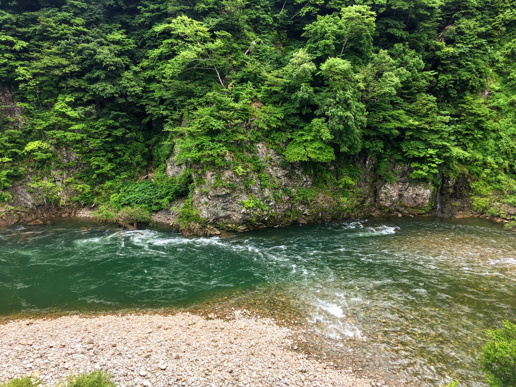 Photos of the clear Nagara River