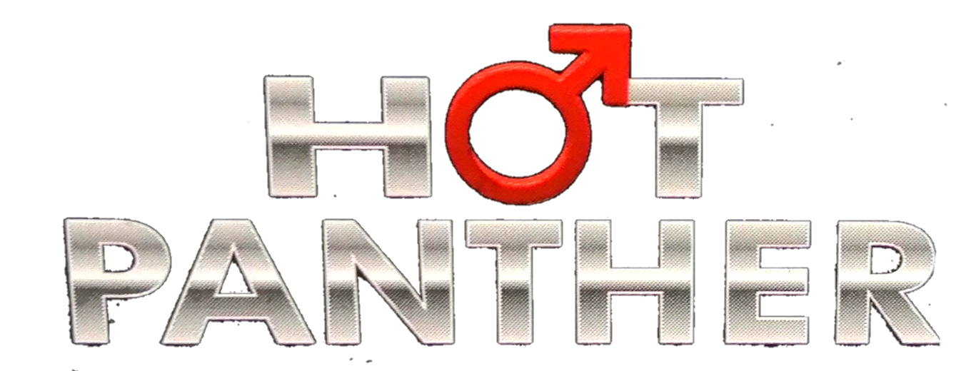 hotpanther.com.mx