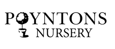 Poyntons Nursery