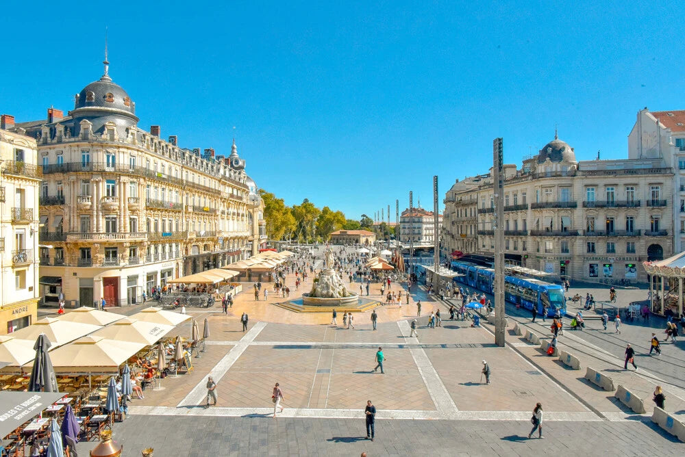 Die besten CBD-Shop in Montpellier