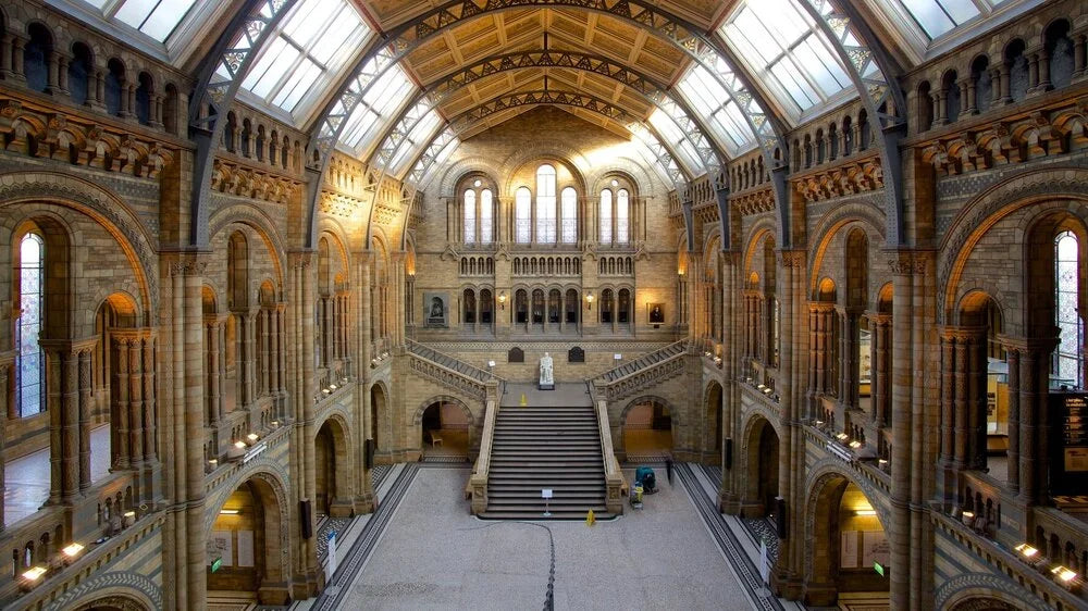 Londres Musée Histoire Naturelle