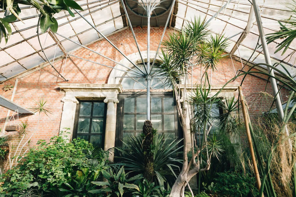 Louvain Jardin Botanique