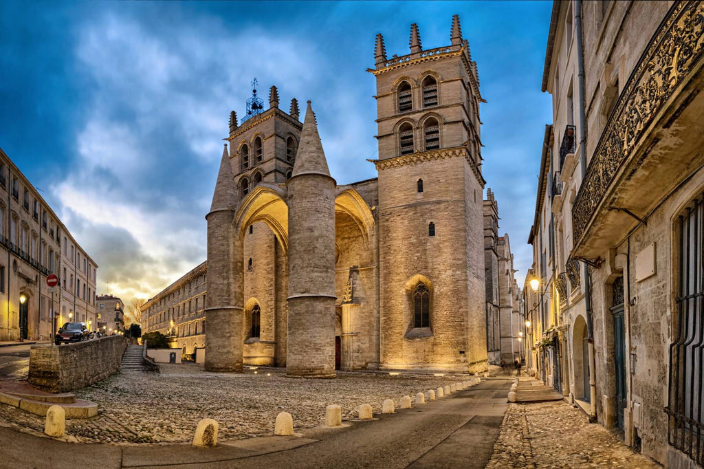 CBD Montpellier Cathédrale Saint-Pierre