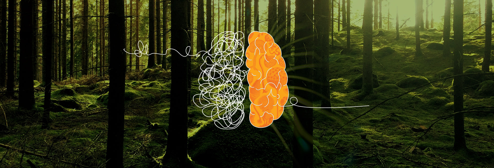 Lush forest and an illustration of a brain