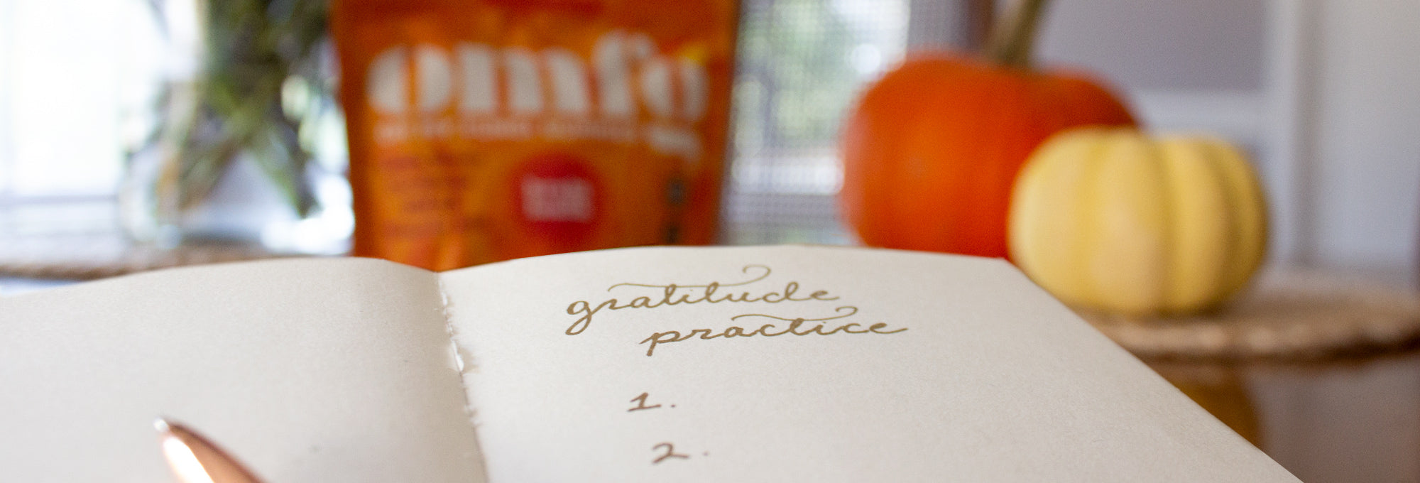 Photo of a gratitude journal with OMFG Gummies packaging in the background