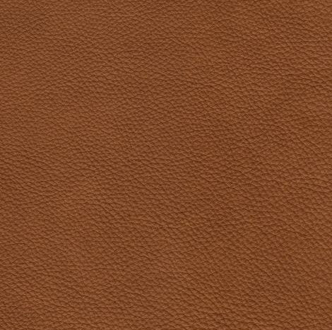 Natural Leather Brown.jpg__PID:052f08f1-506d-4258-987b-9c60496681fb