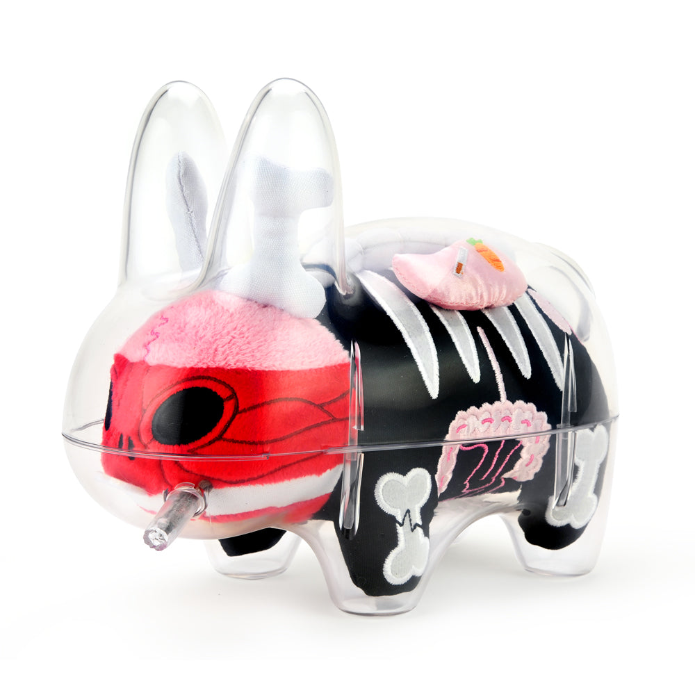 Image of The Visible Labbit 7