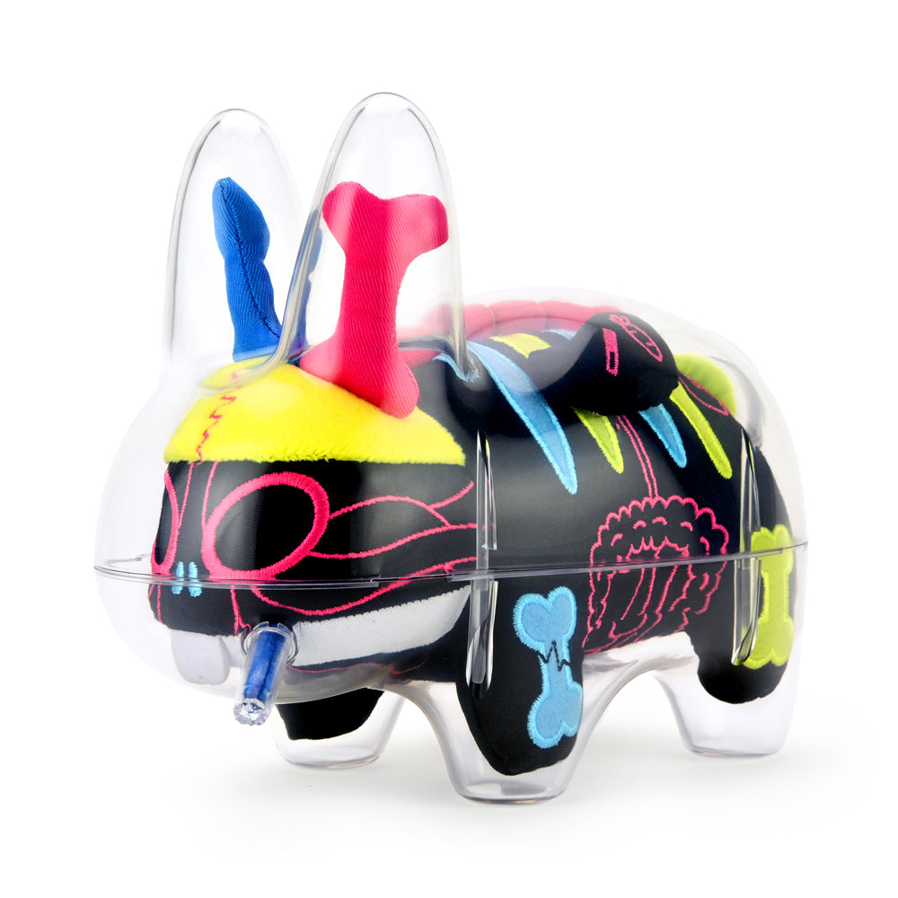 Image of The Visible Labbit 7