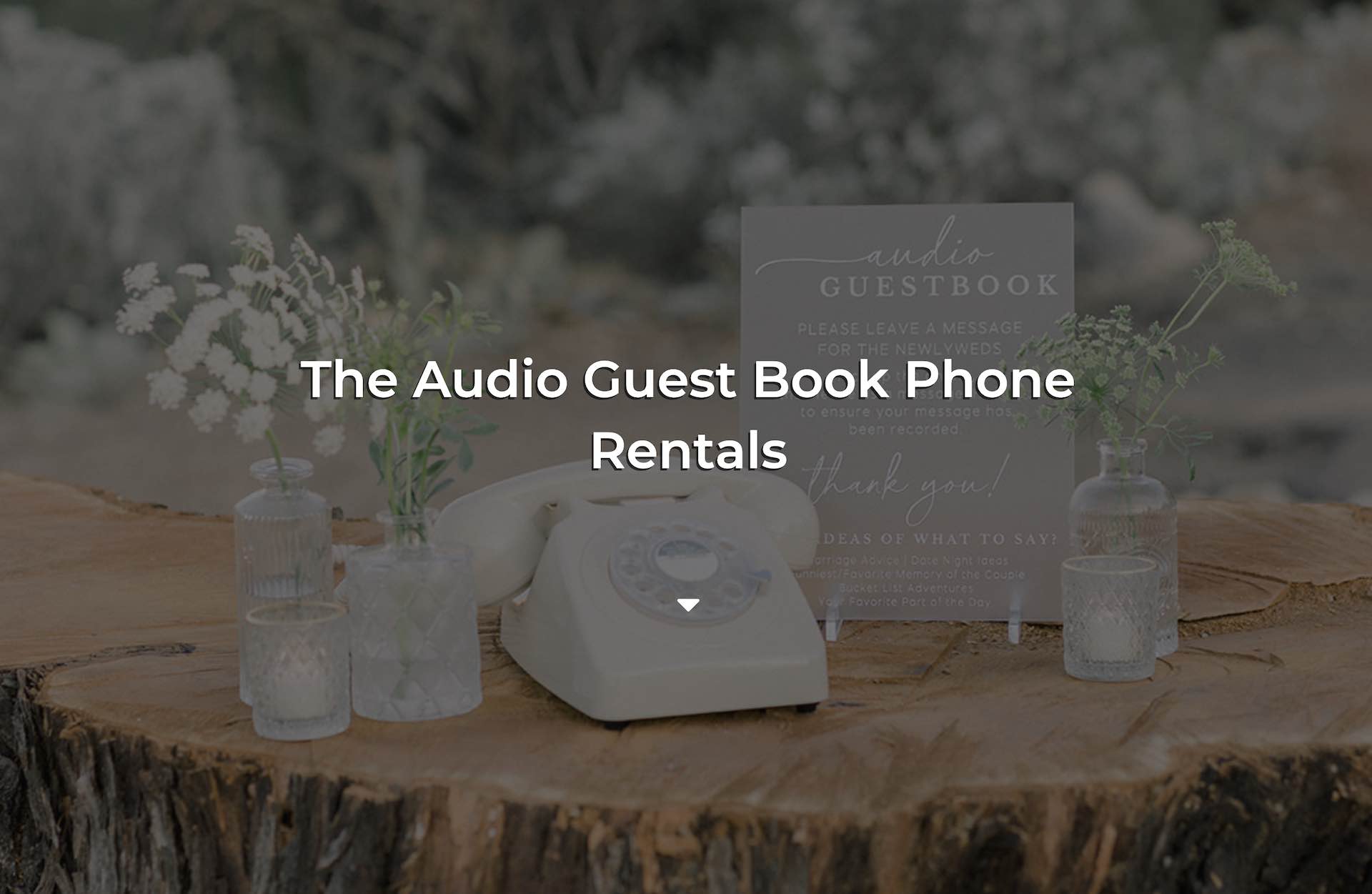 Website Photobooth Audio Guest Book full landing home page