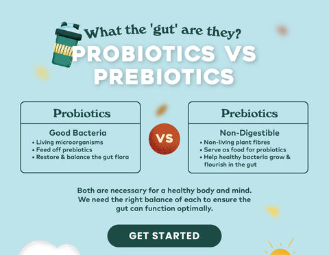 Prebiotic vs Probiotic Information