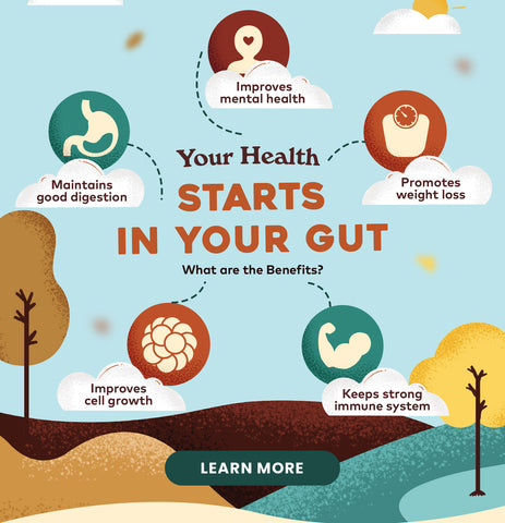 What are the benefits having good gut health?