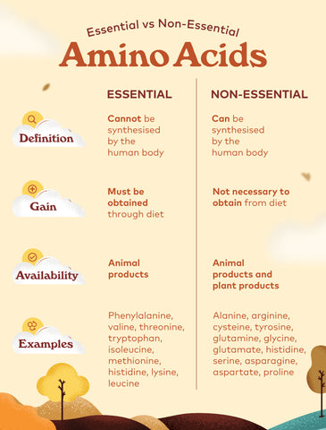 Amino Acid Table