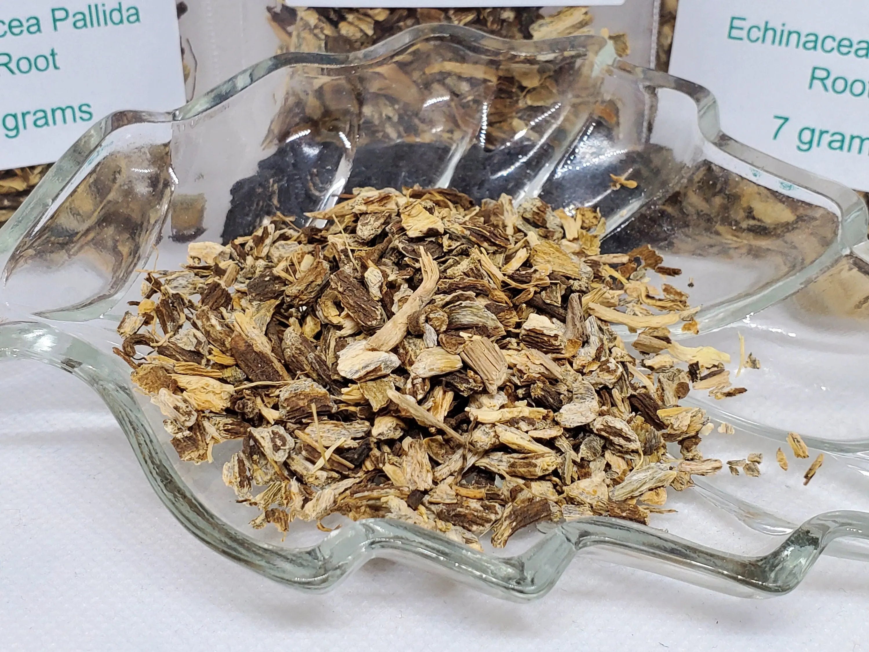 Echinacea Pallida Root