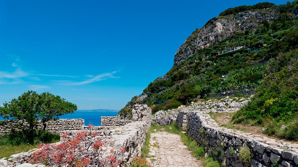 Promenades panoramiques Sentiero dei Fortini Capri | InStazione