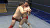 Herc vs Bison - Vertex Wrestling