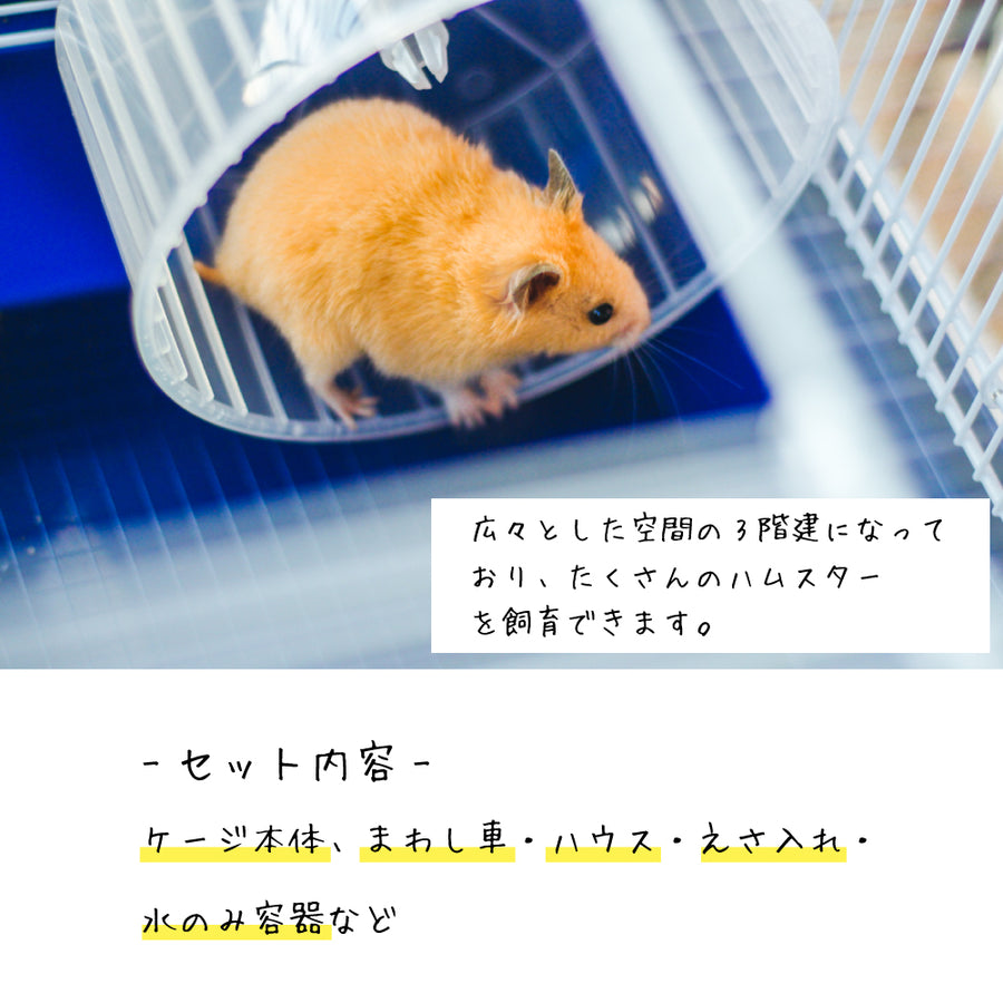 IYOIYA ハムスター ケージ 大きい 2階建て 飼育キット - 小動物用品