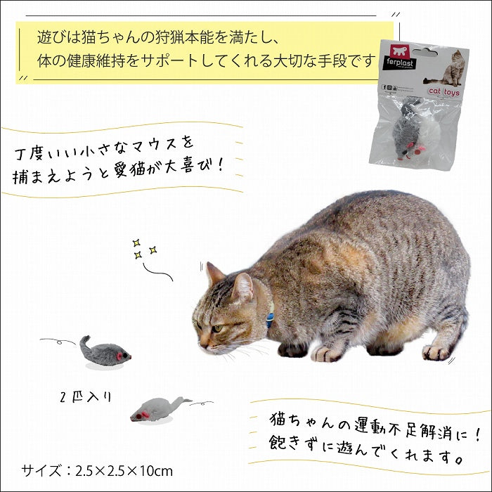 ネコちゃん????専用ページ???? www.krzysztofbialy.com